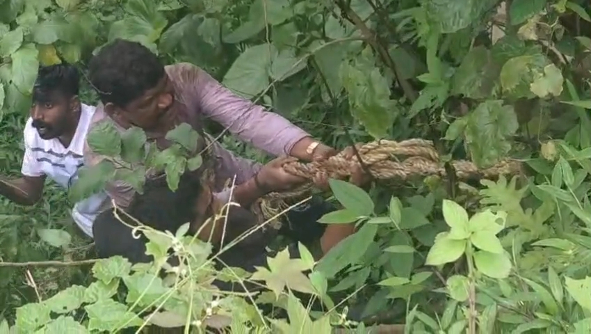 Tourist rescued after 30-foot fall at Malakkappara viewpoint in daring operation